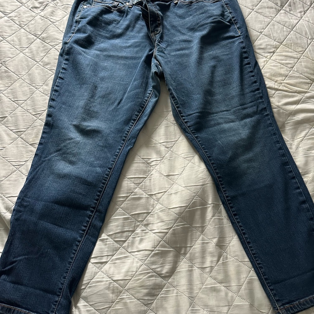 Torrid Relaxed Fit Blue Jeans